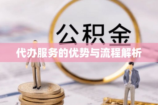 云阳代办服务的优势与流程解析