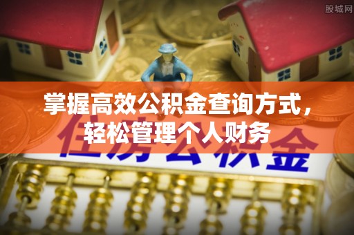 云阳掌握高效公积金查询方式，轻松管理个人财务