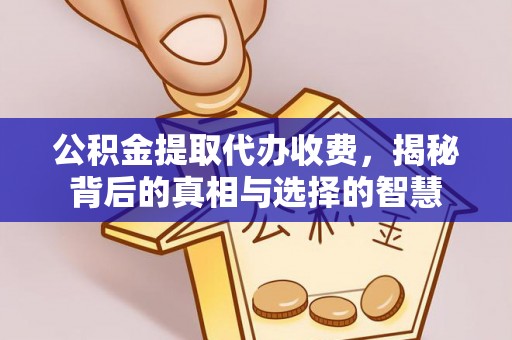 云阳公积金提取代办收费，揭秘背后的真相与选择的智慧