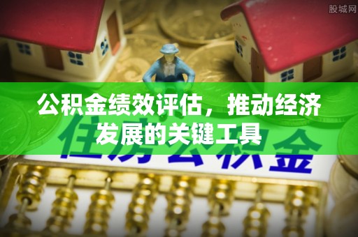 云阳公积金绩效评估，推动经济发展的关键工具