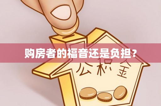 云阳购房者的福音还是负担？