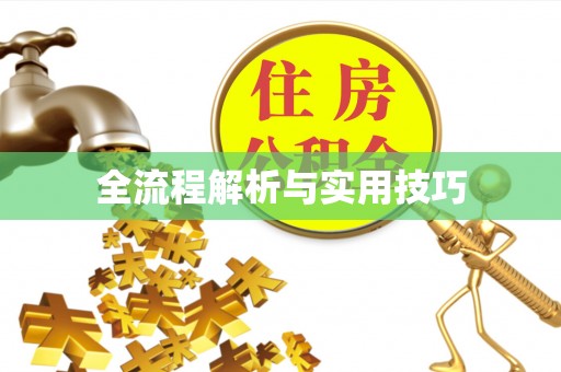 云阳全流程解析与实用技巧