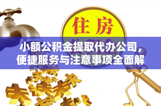 云阳小额公积金提取代办公司，便捷服务与注意事项全面解析