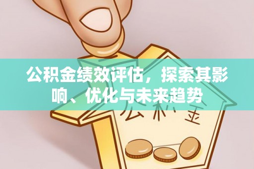 云阳公积金绩效评估，探索其影响、优化与未来趋势