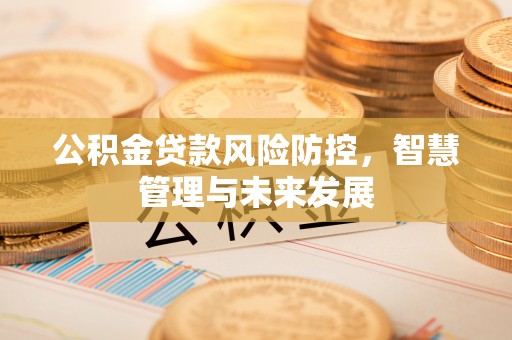 云阳公积金贷款风险防控，智慧管理与未来发展
