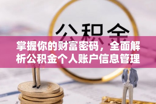 云阳掌握你的财富密码，全面解析公积金个人账户信息管理与优化