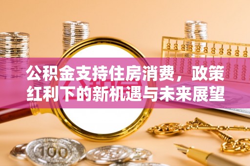 云阳公积金支持住房消费，政策红利下的新机遇与未来展望