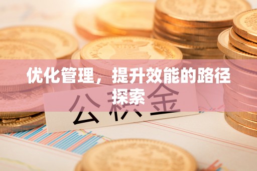 云阳优化管理，提升效能的路径探索