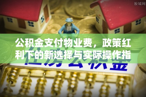 云阳公积金支付物业费，政策红利下的新选择与实际操作指南