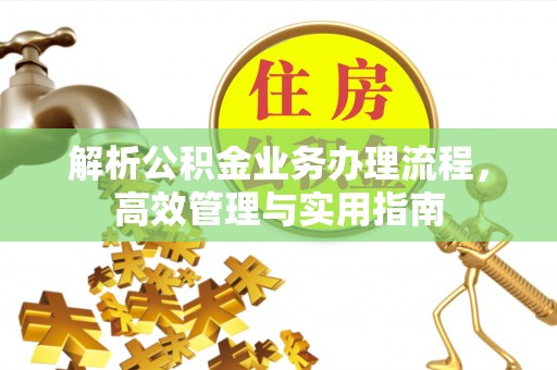 云阳解析公积金业务办理流程，高效管理与实用指南