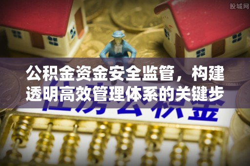 云阳公积金资金安全监管，构建透明高效管理体系的关键步骤