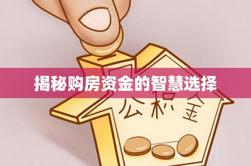 云阳揭秘购房资金的智慧选择