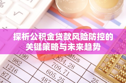 云阳探析公积金贷款风险防控的关键策略与未来趋势