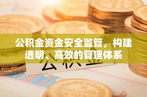 云阳公积金资金安全监管，构建透明、高效的管理体系