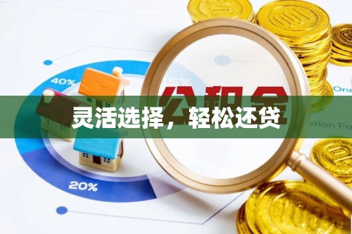 云阳灵活选择，轻松还贷