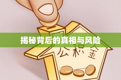 云阳揭秘背后的真相与风险