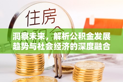 云阳洞察未来，解析公积金发展趋势与社会经济的深度融合
