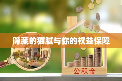 云阳隐藏的猫腻与你的权益保障