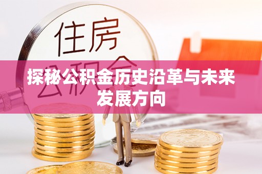 云阳探秘公积金历史沿革与未来发展方向
