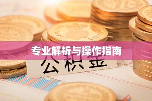 云阳专业解析与操作指南