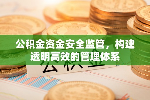 云阳公积金资金安全监管，构建透明高效的管理体系