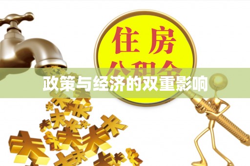 云阳政策与经济的双重影响