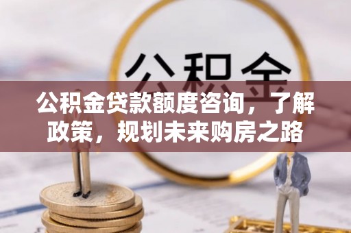 云阳公积金贷款额度咨询，了解政策，规划未来购房之路
