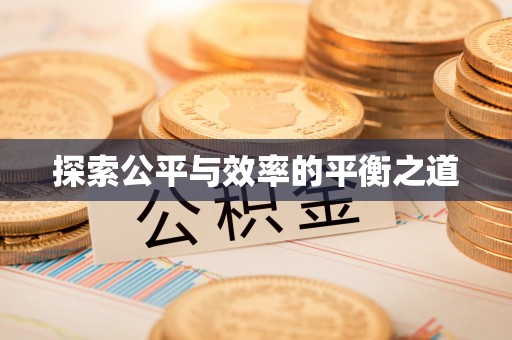 云阳探索公平与效率的平衡之道