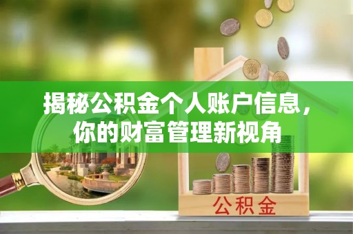 云阳揭秘公积金个人账户信息，你的财富管理新视角