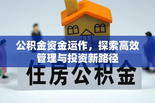 云阳公积金资金运作，探索高效管理与投资新路径