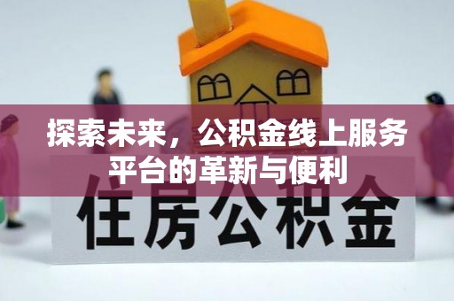 云阳探索未来，公积金线上服务平台的革新与便利