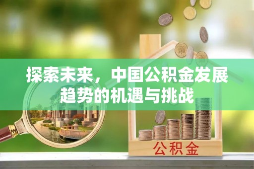 云阳探索未来，中国公积金发展趋势的机遇与挑战