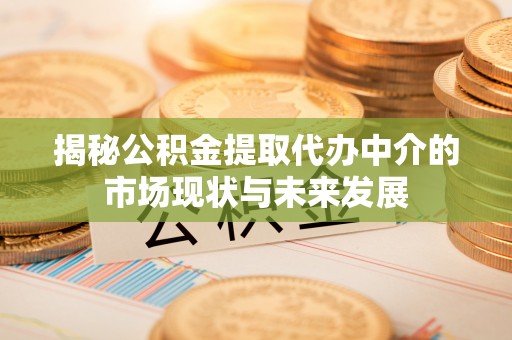 云阳揭秘公积金提取代办中介的市场现状与未来发展