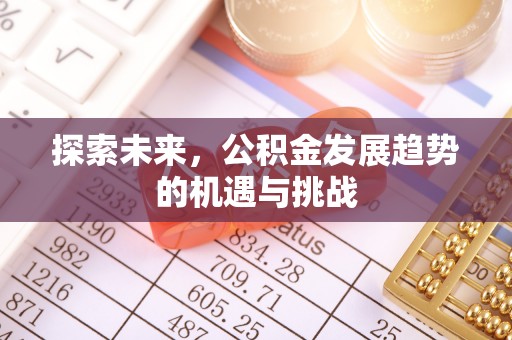 云阳探索未来，公积金发展趋势的机遇与挑战
