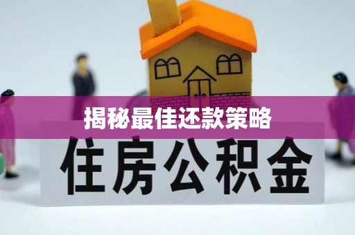 云阳揭秘最佳还款策略