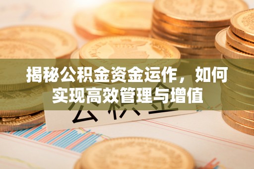 云阳揭秘公积金资金运作，如何实现高效管理与增值