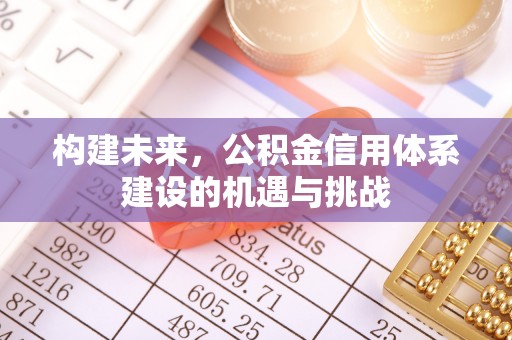 云阳构建未来，公积金信用体系建设的机遇与挑战