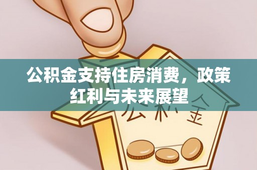 云阳公积金支持住房消费，政策红利与未来展望