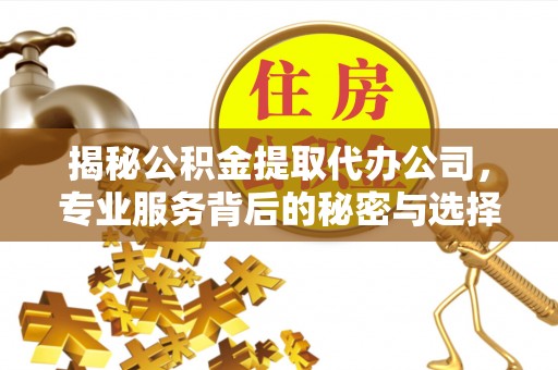 云阳揭秘公积金提取代办公司，专业服务背后的秘密与选择指南