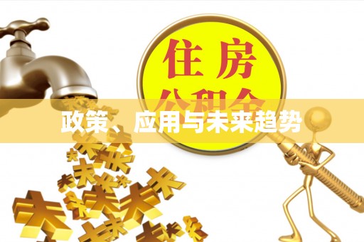 云阳政策、应用与未来趋势