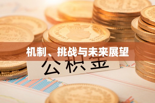 云阳机制、挑战与未来展望