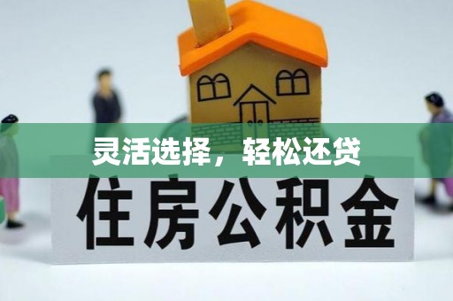云阳灵活选择，轻松还贷